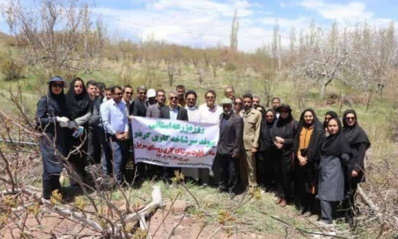 روز مزرعه استانی پیوند سرشاخه کاری گردو در جنوب کرمان برگزار شد.
